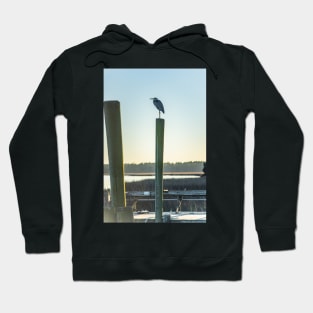 Great Blue Heron on a fishing dock 2 Hoodie